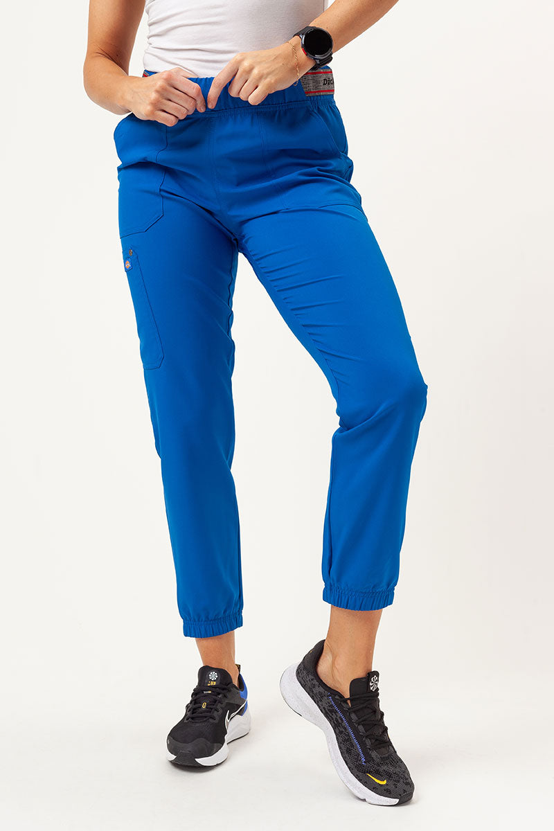 Traje Dickies EDS NXT DK678/DK221